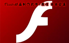 flash(dng)